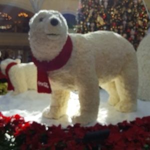 Meet your Posher, Holly